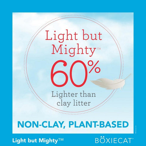 Boxiecat Air Lightweight Scent Free Premium Clumping Litter 16.5lb - Poudre Pet and Feed Supply