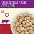 Stella & Chewy's Freeze Dried Raw Beef Dinner Morsels Cat Food 8oz - Poudre Pet and Feed Supply