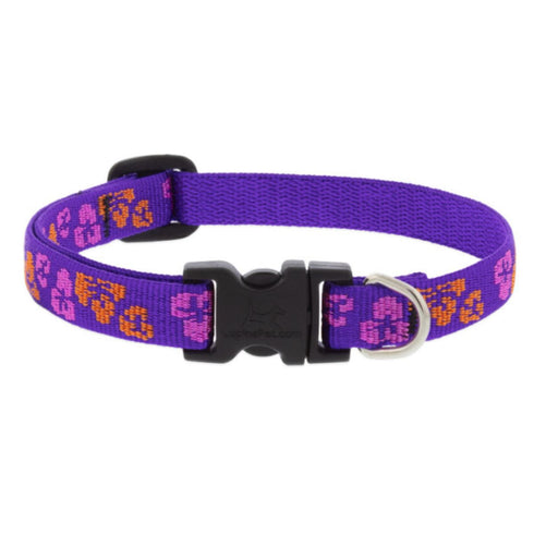 Lupine Adjustable Microbatch Dog Collar 1/2x10-16" Aloha - Poudre Pet and Feed Supply