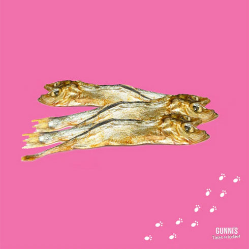 Gunni Whole Herring Cat Treats 1.5oz