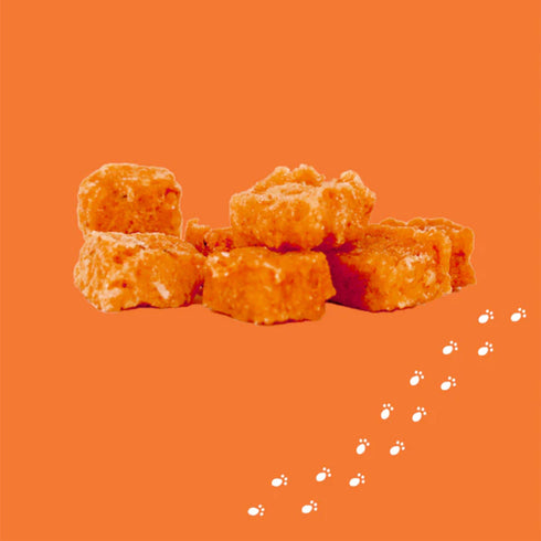 Gunni's Pet Salmon Baby Bites Dog Treats 2.5oz - Poudre Pet and Feed Supply