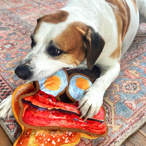 Doggijuana Tuffer Chewer Refillable Eggs and Bacon Dog Toy