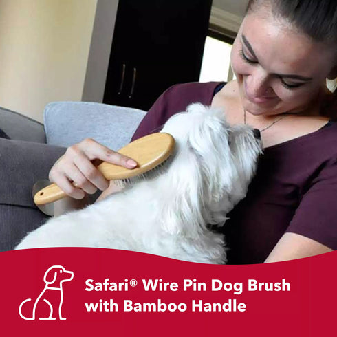 Safari Wire Pin Dog Brush with Bamboo Handle Large poudrefeed.com 2