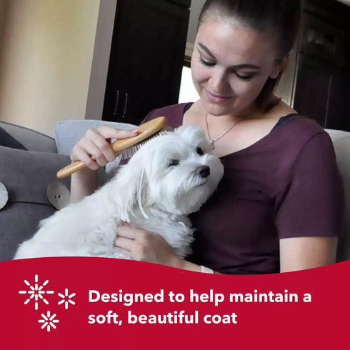 Safari Wire Pin Dog Brush with Bamboo Handle Large poudrefeed.com 4