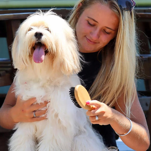 Safari Bristle Dog Brush with Bamboo Handle Large poudrefeed.com 2