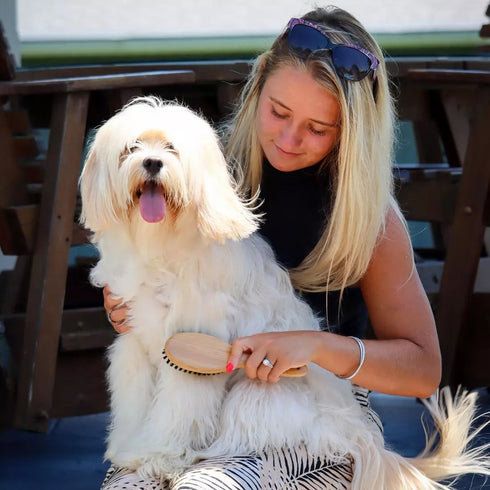 Safari Bristle Dog Brush with Bamboo Handle Large poudrefeed.com 5