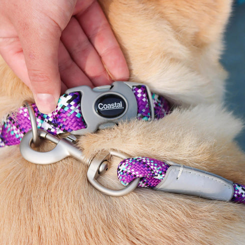 Coastal Pro Active Adjustable Woven Reflective Dog Collar XS Woven Violet poudrefeed.com 2