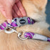 Coastal Pro Active Adjustable Woven Reflective Dog Collar L Woven Violet poudrefeed.com 2