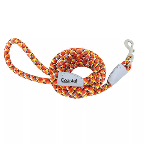 Coastal Pro Active Woven Reflective Rope Leash 1" x 6' Burning Blocks poudrefeed.com