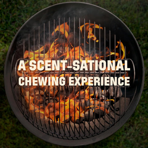 Barkworthies Smoked Beef Trachea Dry Dog Treat 6” 3-Pack