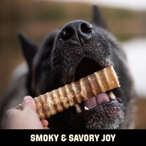 Barkworthies Smoked Beef Trachea Dry Dog Treat 6” 3-Pack