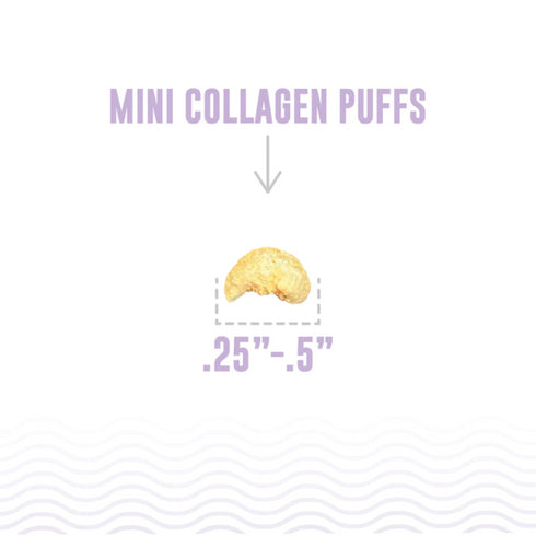Icelandic+ Beef Collagen Puffs with Marrow Treats for Cats 0.5oz poudrefeed.com