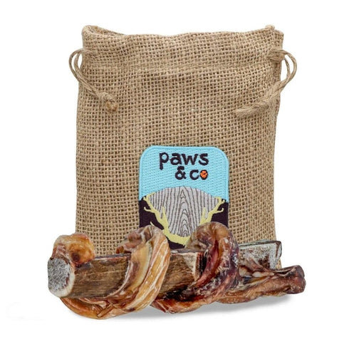 Paws & Co Bully Stick Wrapped Split Elk Antler Chews Small Medium Dogs 5.25" - Poudre Pet and Feed Supply