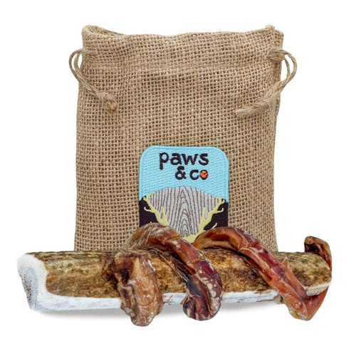 Paws & Co Bully Stick Wrapped Split Elk Antler Chews Large X-Large Dogs 7.25" - Poudre Pet and Feed Supply