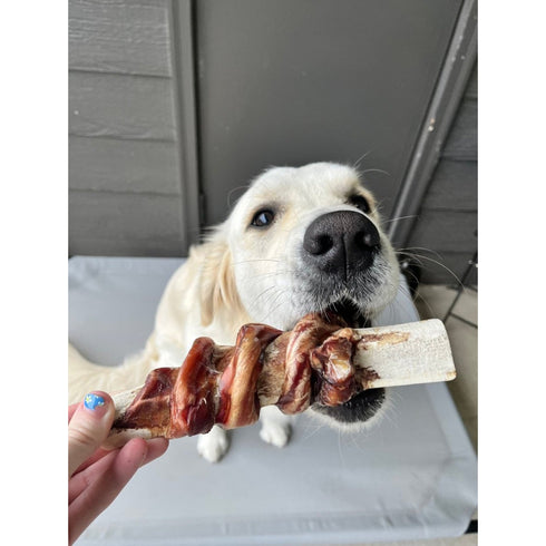 Paws & Co Bully Stick Wrapped Split Elk Antler Chews Large X-Large Dogs 7.25" - Poudre Pet and Feed Supply