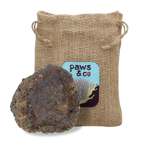 Paws & Co Beef Liver Dipped Elk Antler Buttons for Large X-Large Dogs 3.5"-4" - Poudre Pet and Feed Supply