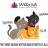Weruva B.F.F. Play Pate Duck & Tuna Tap Dance Wet Cat Food 3oz - Poudre Pet and Feed Supply