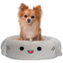 Squishmallows 20-Inch Gordon Shark Pet Bed Gray - Poudre Pet and Feed Supply