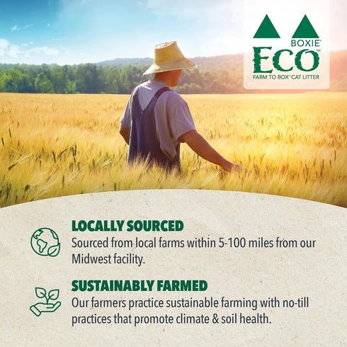 Boxie Cat Eco Ultra Sustainable Plant-Based Clumping Cat Litter 6.5lb - Poudre Pet and Feed Supply