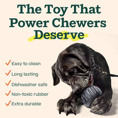 Woof Power Chewer Pupsicle Dog Toy Black X-Large - Poudre Pet and Feed Supply