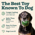 Woof Pupsicle Dog Toy Green Large - Poudre Pet and Feed Supply