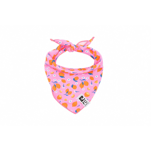 RC PETS Dog Zephyr Cooling Bandana, Zesty, S/M, 8" - 17" - Poudre Pet and Feed Supply