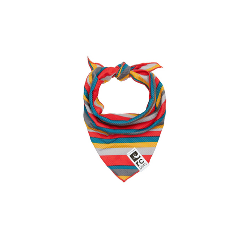RC PETS Dog Zephyr Cooling Bandana, Multi Stripes, S/M, 8" - 17" - Poudre Pet and Feed Supply