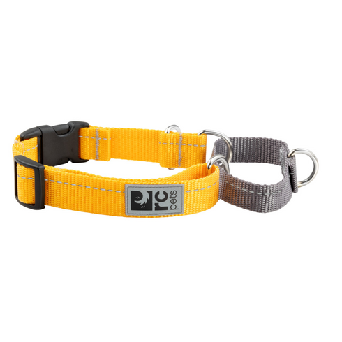 RC PETS Dog Primary Web Training Clip Collar, Marigold, S, 3/4" / 11" - 14" - Poudre Pet and Feed Supply