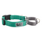 RC PETS Dog Primary Web Training Clip Collar, Parakeet, S, 3/4" / 11"-14" - Poudre Pet and Feed Supply