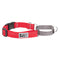 RC Pets Primary Web Training Clip Collar Small Azalea - Poudre Pet & Feed Supply