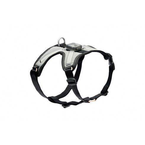 RC PETS Dog Nova LED Light Harness, Black/Grey, XL, 30" - 40" - Poudre Pet and Feed Supply