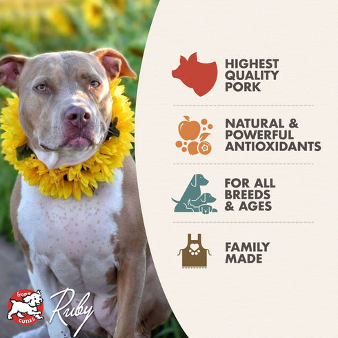 Fromm Betty’s Biscuits & Gravy Pork & Eggs 12.5oz Poudre Pet & Feed Supply 3