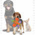 Tuffy's Duraforce Butterfly Tough Orange Dog Toy