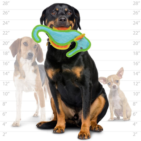 Tuffy's Duraforce Seahorse Tough Blue Dog Toy