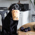 Zippy Paws Burrow Boba Milk Tea Dog Toys - Poudre Pet & Feed Supply 3