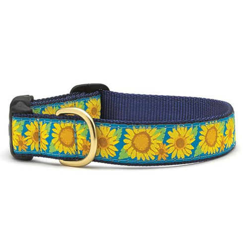 Up Country Collar Adjustable Bright Sunflower Dog Collar Large - Poudre Pet & Feed Supply