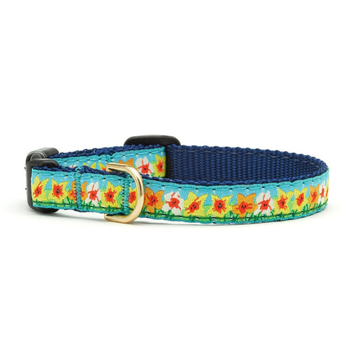 Up Country Daffodil Small Breed Dog Collar Small Size