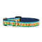 Up Country Daffodil Small Breed Dog Collar Small Size