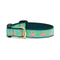 UP COUNTRY Flamingo Adjustable Collar for Dogs, L, 1'x15"-21" - Poudre Pet and Feed Supply