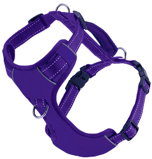 Chesapeake Bay Dog Harness Purple Rain Small