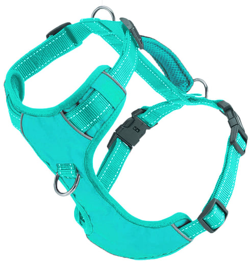 Chesapeake Bay Dog Harness Sea Foam Medium