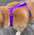 Chesapeake Bay Dog Harness Purple Rain Large