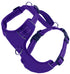 Chesapeake Bay Dog Harness Purple Rain Extra Large