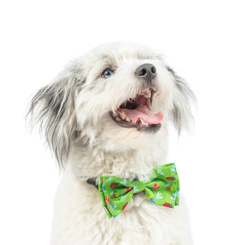 Huxley & Kent Bow Tie Small Garden Party Poudre Pet & Feed Supply 2