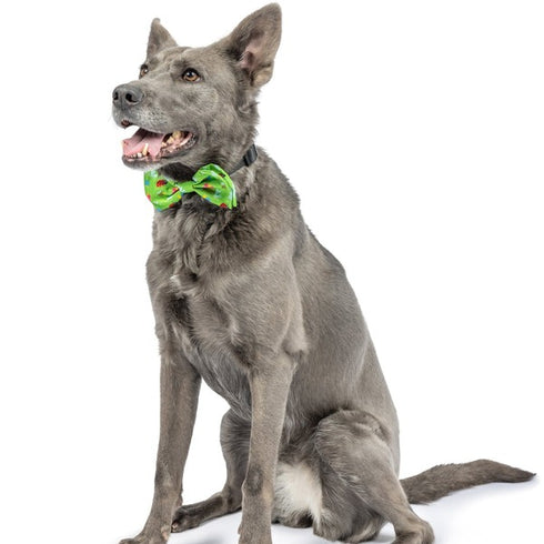 Huxley & Kent Bow Tie Small Garden Party Poudre Pet & Feed Supply 3