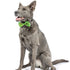 Huxley & Kent Bow Tie Large Garden Party Poudre Pet & Feed Supply 3