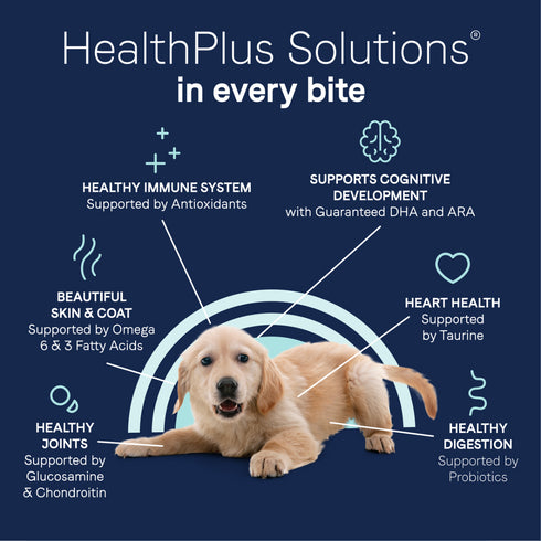 Canidae Pure Grain Free Salmon & Sweet Potato Dry Puppy Dog Food 22lb