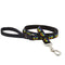 Lupine Peace Paws Dog Leash 1x4'