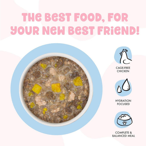 Weruva BFF Kitten Chicken & Pumpkin Pawsome Purrs Wet Cat Food 2.8oz Poudre Pet & Feed Supply 2