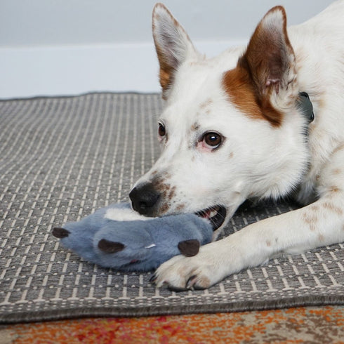 Kong Snuzzles Sloth Dog Toy Small - Poudre Pet & Feed Supply 2